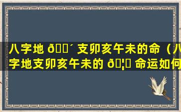 八字地 🐴 支卯亥午未的命（八字地支卯亥午未的 🦟 命运如何）